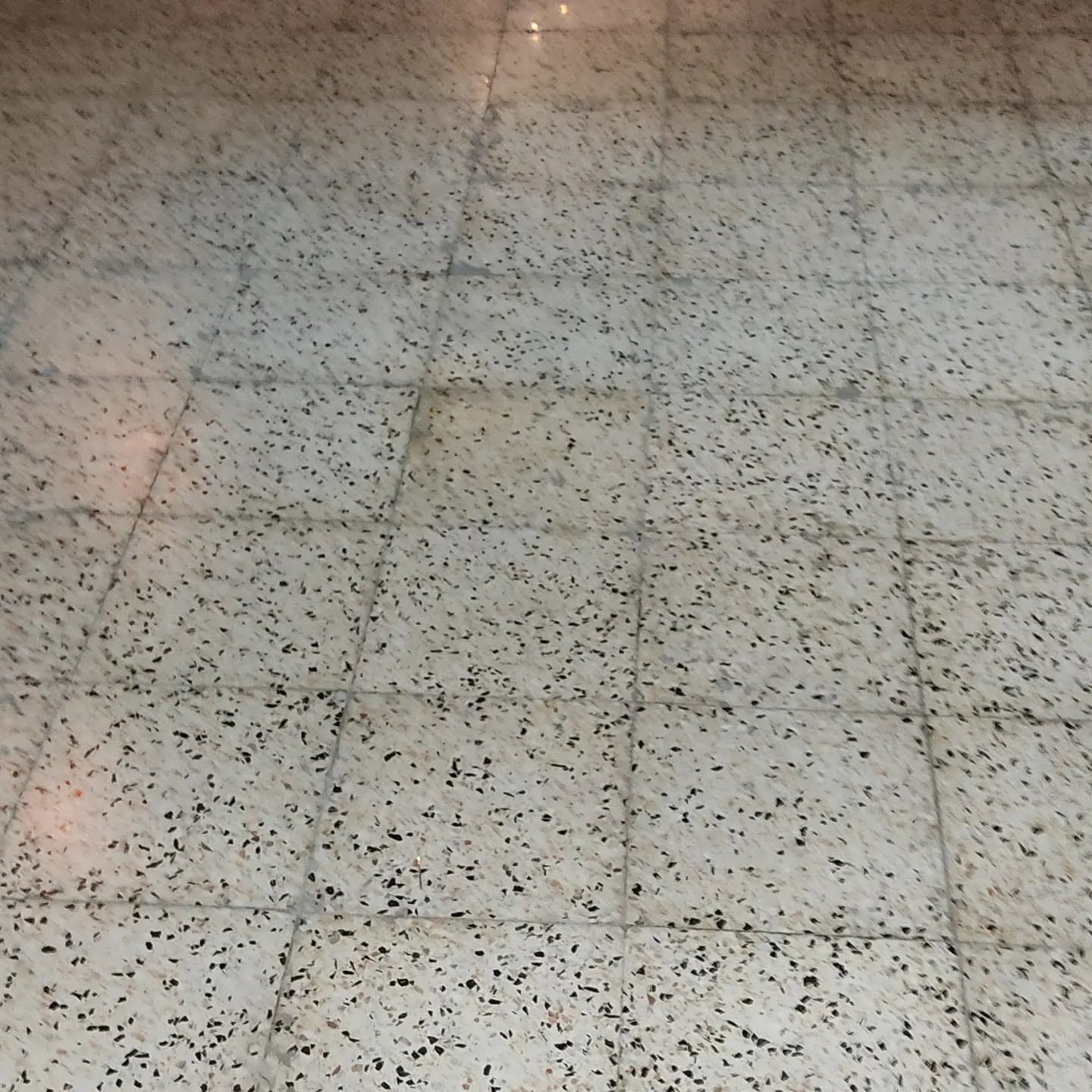 KKTC mermer silim ve parlatma uygulaması, Lefkoşa doğal mermer zemin yenileme, KKTC mermer silim, KKTC beton silim, Kıbrıs mermer silim, Kıbrıs beton silim ve beton cilalama uygulaması