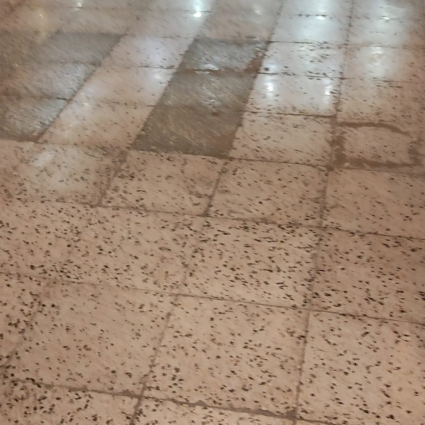 Kıbrıs mermer silim hizmeti, çizilmiş ve matlaşmış mermer yüzey yenileme, KKTC mermer silim, KKTC beton silim, Kıbrıs mermer silim, Kıbrıs beton silim ve beton cilalama uygulaması