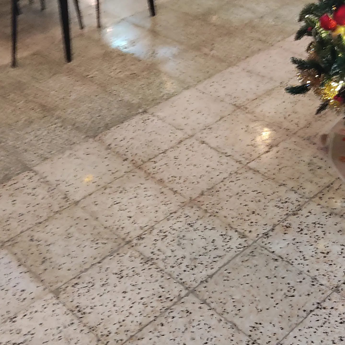 KKTC beton silim uygulaması, dayanıklı ve modern beton zemin hazırlama, KKTC mermer silim, KKTC beton silim, Kıbrıs mermer silim, Kıbrıs beton silim ve beton cilalama uygulaması